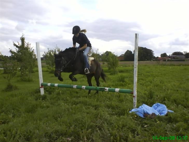 Anden særlig race dinna *for altid i mit hjerte! * - godt noke r det et bette spring, men jeg elsker dig skat! billede 16