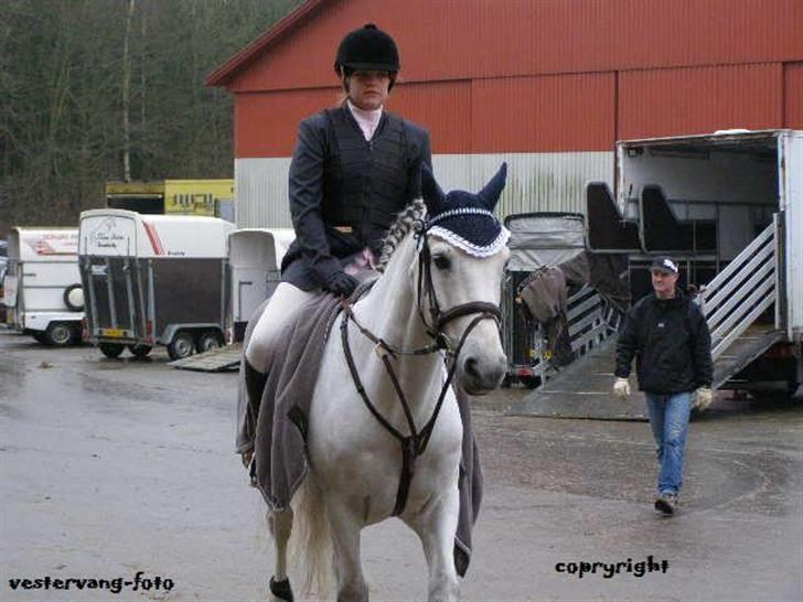 Anden særlig race MILLENIUM(TILBAGE LEVERT) billede 15