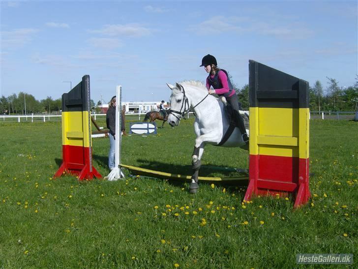 Anden særlig race Ronja SOLGT - malene og ronja. første gang i næsten et år hun springer!!  et af de første spring så det var lidt kluntet billede 9