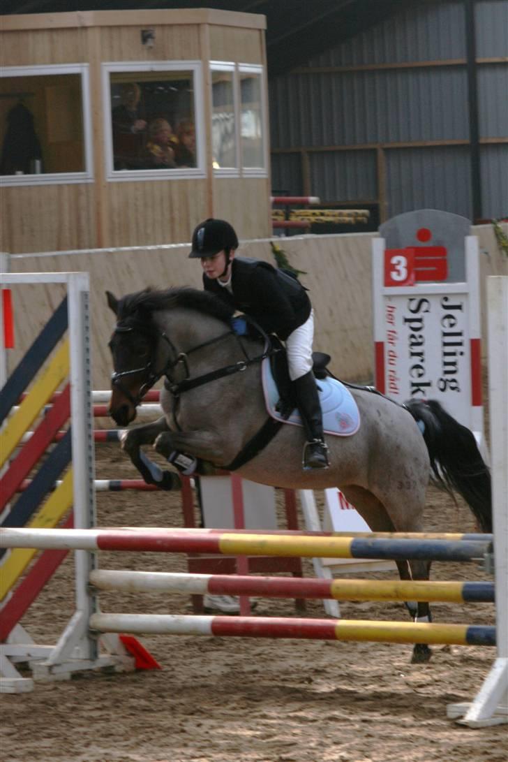 DSP Cirkeline - Smuk? billede 4