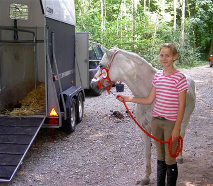 Welsh Pony (sec B) Lyngvejens Ravalla - Ravalla og mig til Distance billede 2