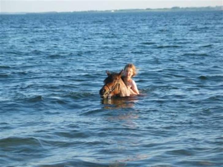 DSP Cirkeline - Ude at bade billede 6