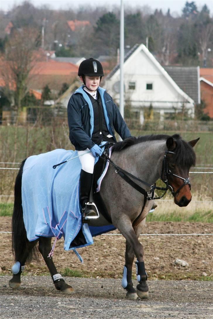 DSP Cirkeline - Cirkeline og Jasmin til stævne :) billede 7