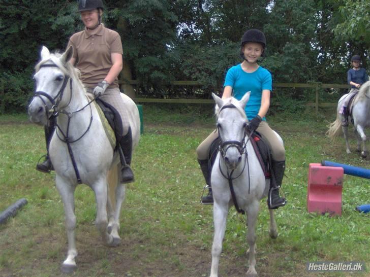 Welsh Pony (sec B) Lyngvejens Ravalla - :) billede 5