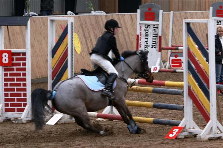 DSP Cirkeline - Man har vel sin egen mening om tingene? billede 11