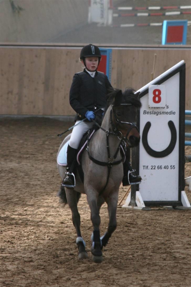 DSP Cirkeline - Cirkeline og Jasmin i fuld fart på vej hen til første spring billede 15