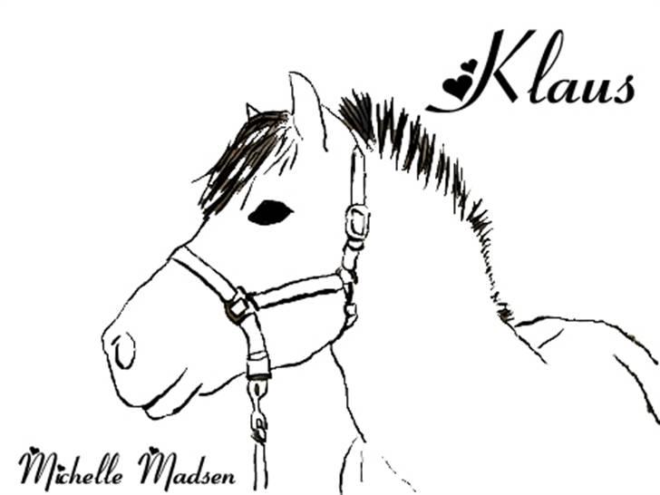 Fjordhest Klaus - Klaus min skat<3 Han er tegnet af Michelle Madsen! billede 7