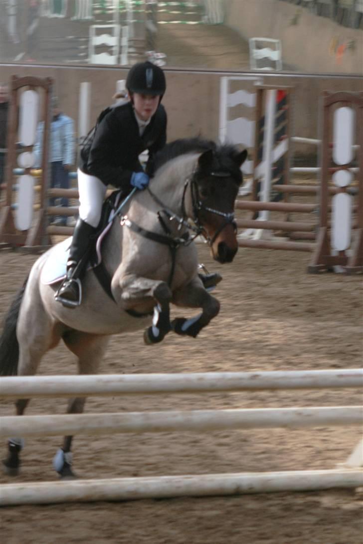 DSP Cirkeline - RAWWWW Jasmin og Cirkeline i flot stil :) billede 17