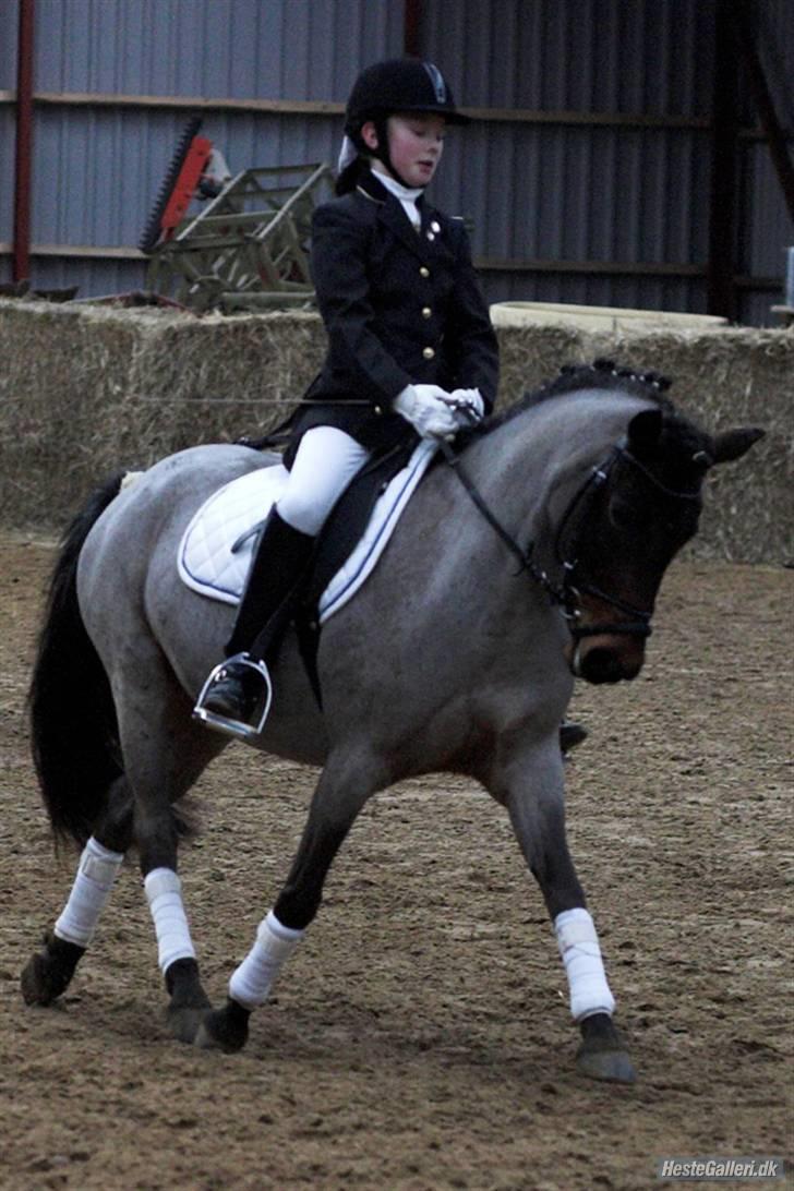 DSP Cirkeline - her er de igen :) billede 18