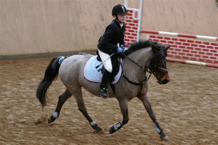 DSP Cirkeline - efter en flot runde i LA billede 19