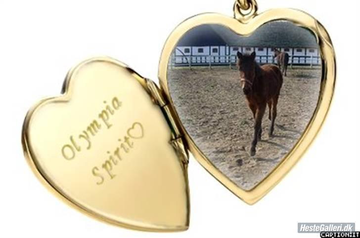 Standardbred Olympia(passer hende) - Lavet af Anette CAW BETYDER ALT billede 8