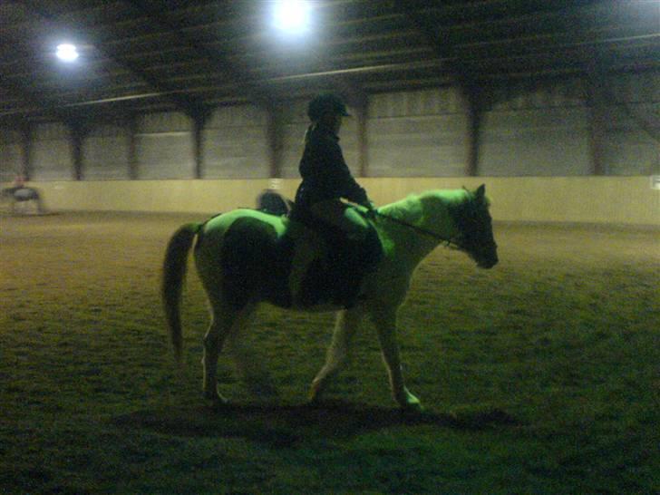 Pinto Tarzan - Mig og Tarzan rider billede 10