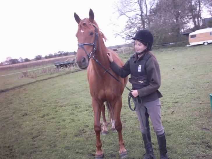 Fuldblod (XX) Jasmin - Jassy & Miig billede 11