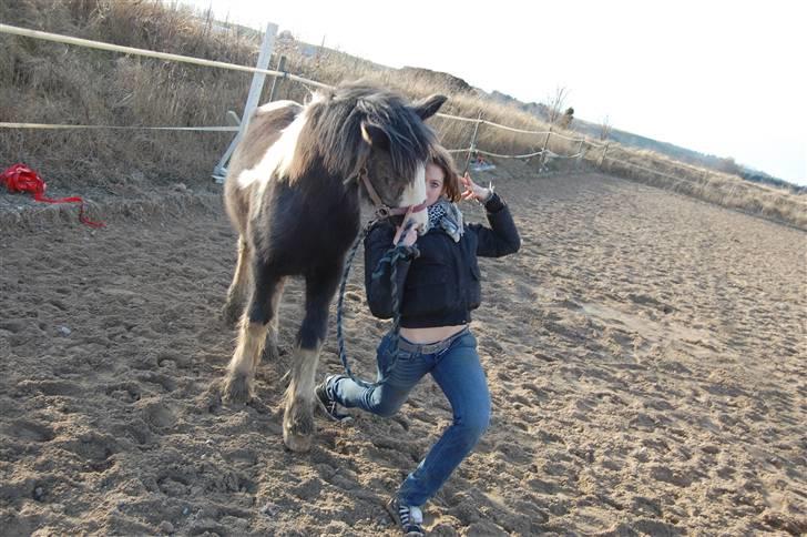 Irish Cob Mr. Pepper  - Jeg fjoller foran kameraet, også kommer min hest bagfra og æder miig xD .. Taget af Jack.. billede 9