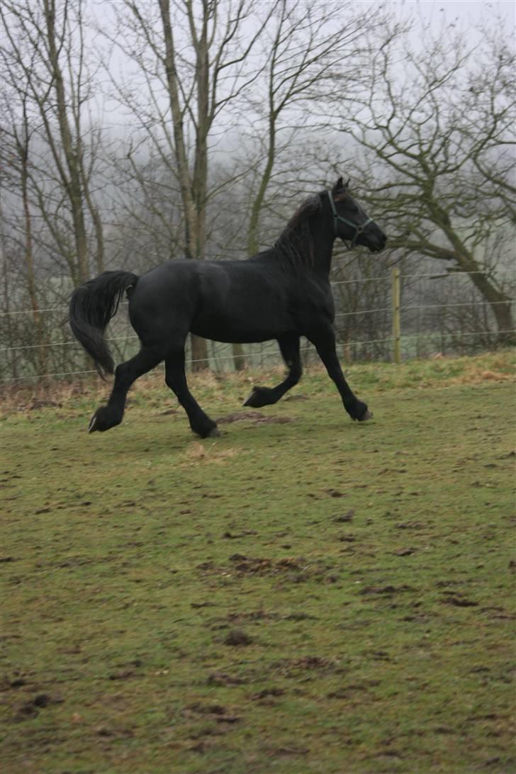 Frieser Idske Van De Stüken billede 4