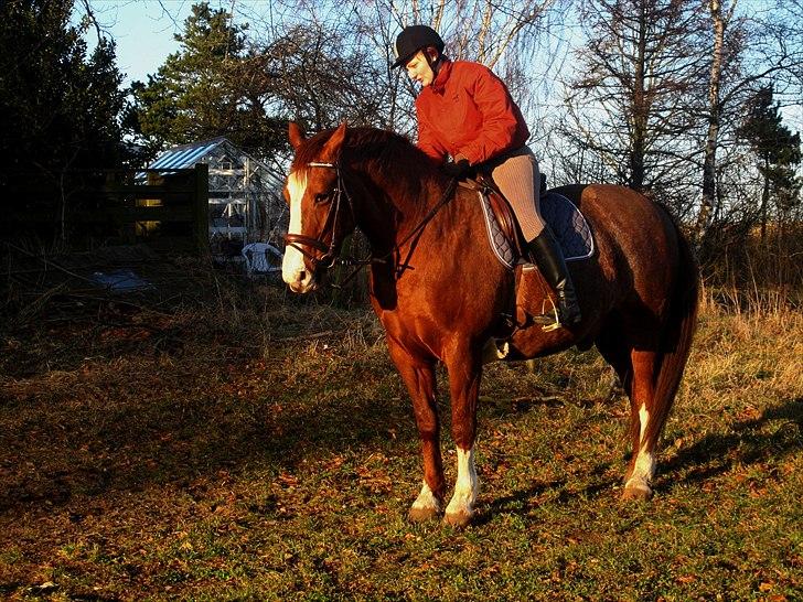 Frederiksborg Findus  billede 1