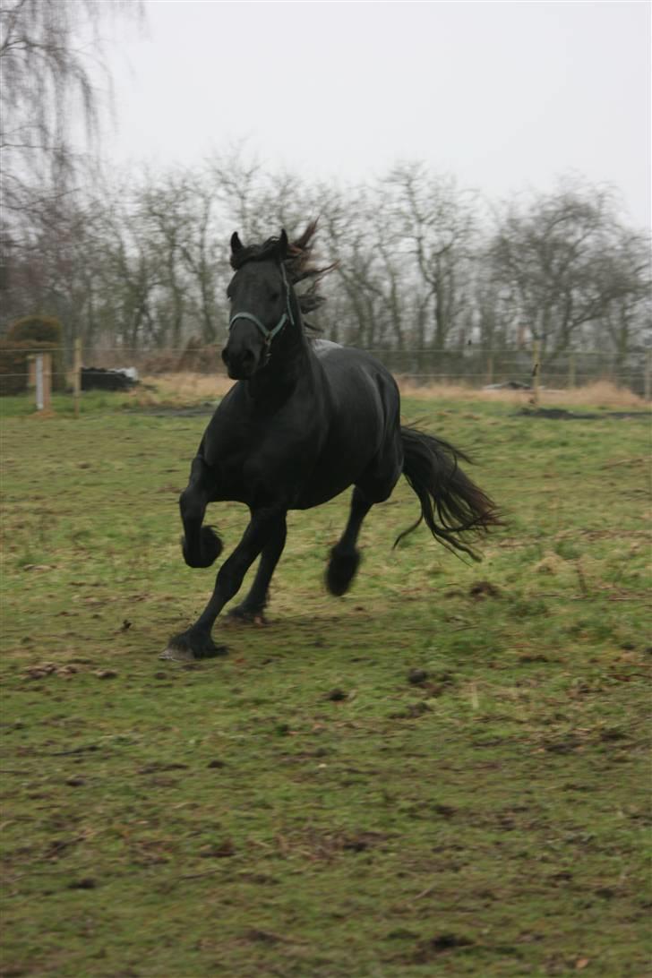 Frieser Idske Van De Stüken billede 5