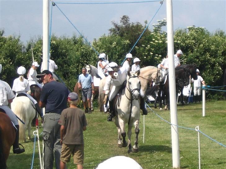 Anden særlig race Dunja - Broager ringridning 2005  ta ring billede 20