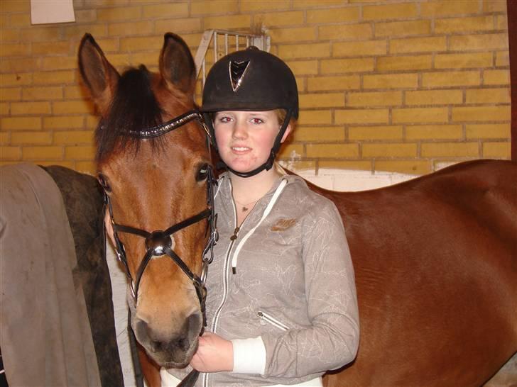 DSP Burton´s Dream *Solgt* billede 3