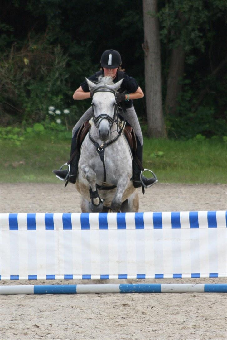 DSP Acia's Chanell billede 7