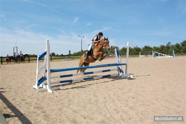 Anden særlig race Andrea <3 - Gl. Part :'/ - Stævne i VHRK billede 15