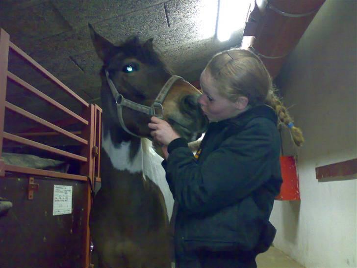 Anden særlig race spirit (tidliger part) :) - du er bare den bedste mus  billede 1