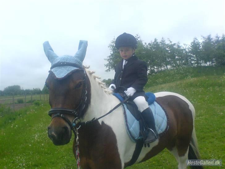 Anden særlig race spirit (tidliger part) :) - spirit og kaya .. ? billede 13