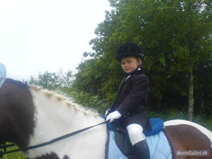 Anden særlig race spirit (tidliger part) :) - kaya den fine piie. <´3 billede 14