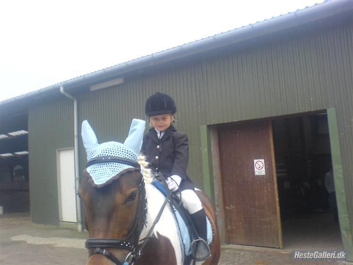 Anden særlig race spirit (tidliger part) :) - kaya og spirit uhh min fine pony billede 15