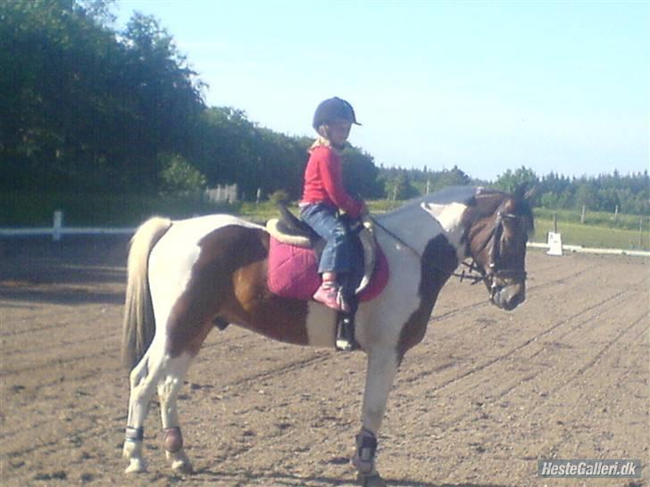 Anden særlig race spirit (tidliger part) :) - kaya og spirit i pink billede 16