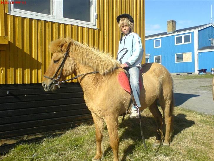 Islænder siggi billede 4