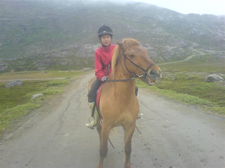 Islænder siggi billede 5