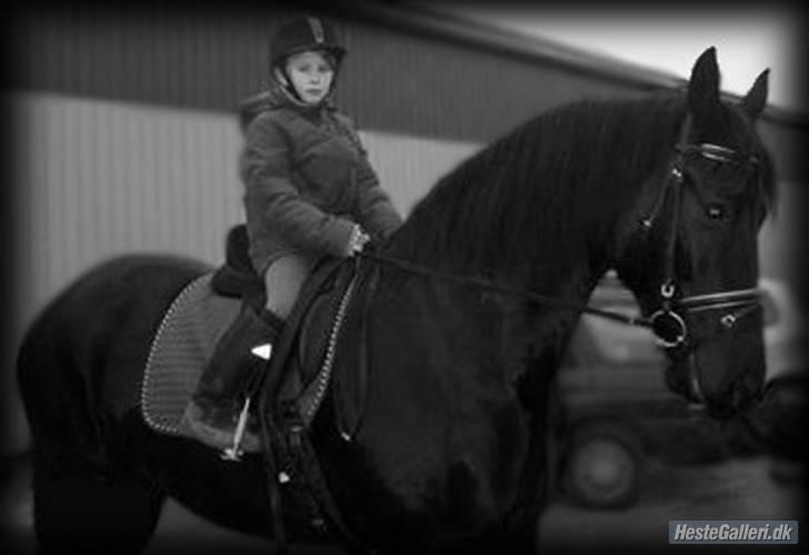 Frieser Sulveren - SOLGT billede 13