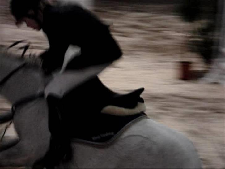 Pinto Bianca - Aflivet :'( - Styrt, til vores sidstestævne, på aller sidste spring billede 17