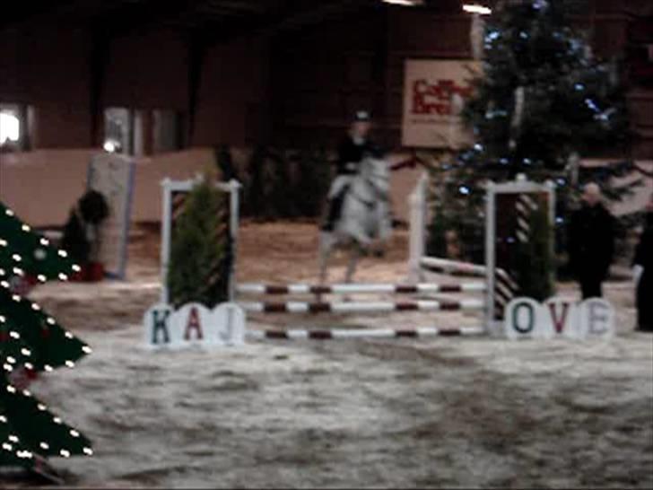 Pinto Bianca - Aflivet :'( - til sidste stævne billede 18