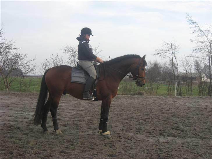 Oldenborg Talismann Nygaard *R.I.P* billede 6