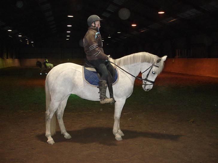 Pinto Bianca - Aflivet :'( - undervisning, Narj h vor er hun fin billede 19