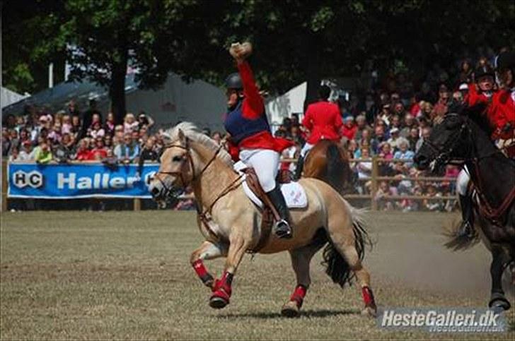 Fjordhest cocus - Dyrskue jagtshow 2009 :) <3 billede 8