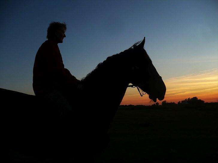Oldenborg Sigersholmgårds Uno-boy - Let a horse whisper in your ear and breathe on your heart. You will never be the same. billede 18