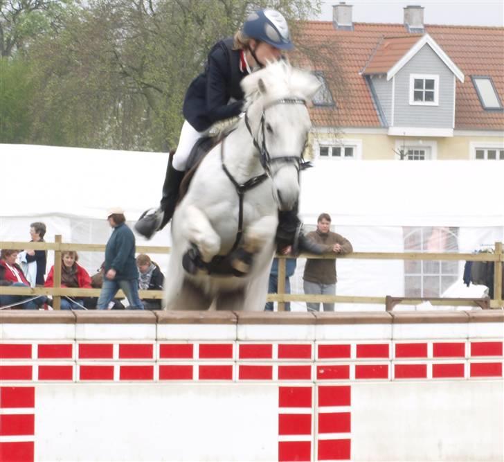 Irsk Sportspony | Mistys Dream *Solgt* - *2* C-stævne KER, MB, høøøjt over Foto: Min mor billede 2