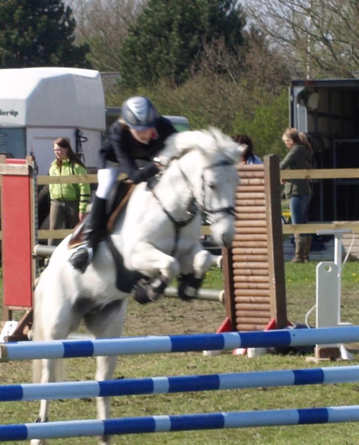 Irsk Sportspony | Mistys Dream *Solgt* - *16* KER, MB, hun flyver <3 Foto: Min mor billede 16