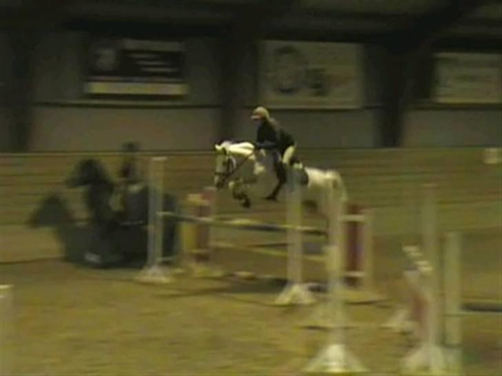 Irsk Sportspony | Mistys Dream *Solgt* - *17* Træning SVR, rimelig højde på nu.. Undskyld kvaliteten, men billedet er taget fra video. Foto: Min mor billede 17