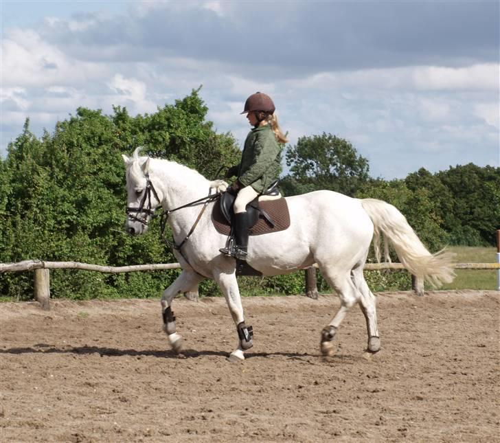 Irsk Sportspony | Mistys Dream *Solgt* - *19* Katja og Misty i dressur :D Foto: Min mor billede 19