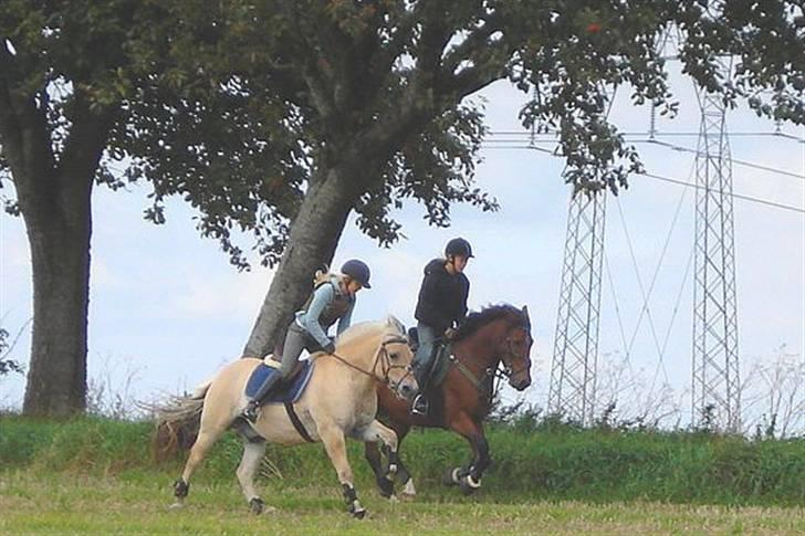 Anden særlig race Atlantic Atlas **solgt**  - 2: Ponyfræs med min veninde Victoria ;o) billede 2