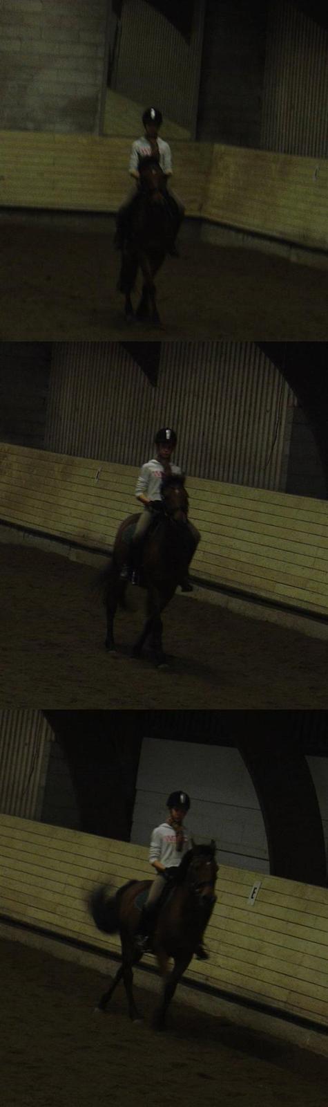 New Forest Don Juan <3 *red engang* - 12# Dyygtig dressur Donse. <3 billede 12