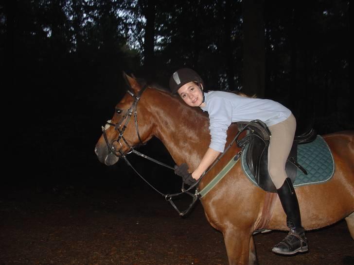 New Forest Don Juan <3 *red engang* - 13# Efter Springtræning d.  23 / 09 <3 iloveyou billede 13