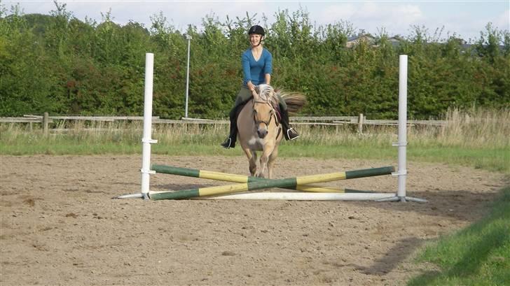 Fjordhest Maegårds Lotti *part* - Et lille spring til os to.. :D sommer 2007 billede 6