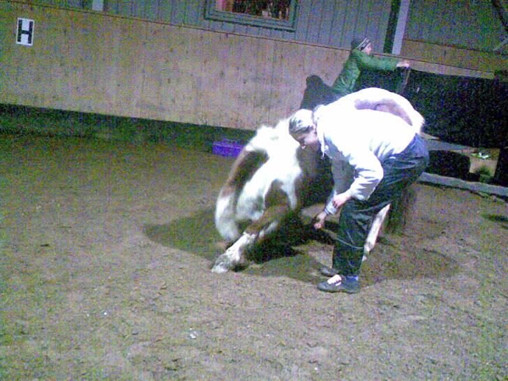 Anden særlig race Ni-Chan´s Babyboy - Bebse der nejer :) og får en lille godbid som belønning <3 billede 18