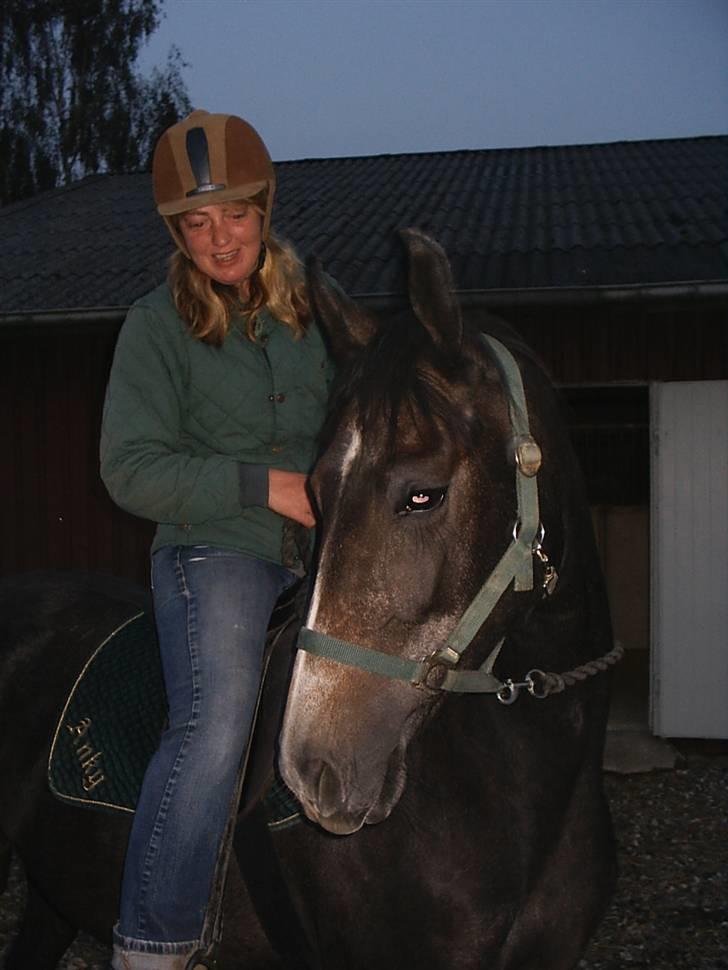 Shagya Araber (SH) Anubis Wraa - Den glade og stolte ejer. :-) billede 10