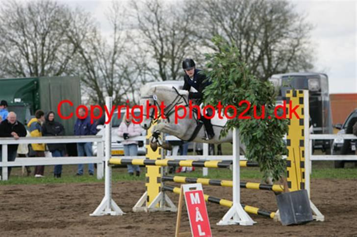 Anden særlig race Oliver*R.I.P -17/12 2007* - Mig og Oliver til distriktsstævne i Boller Rideklub, LA spring <3 ved godt at det er copyright, men det er det nyeste og sidste spring billeder der blev taget af mig og Oliver <3 billede 20